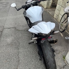 カワサキ　Z250　Fi　ストリートファイターの画像