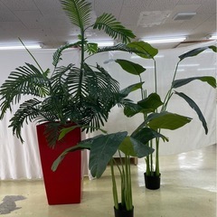 人工観葉植物

