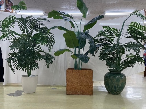 人工観葉植物
