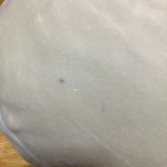 francfrancクッションの画像
