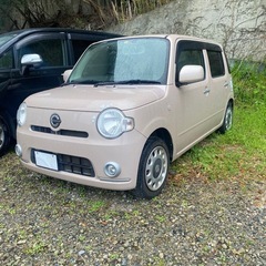 かわいいココア❤︎検査満タン33万円の画像