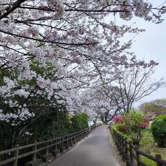 心の距離が近い友達がほしいです
