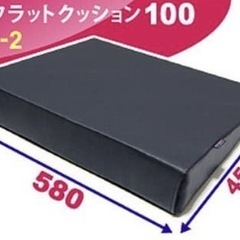 車中泊シートフラットクッションの画像