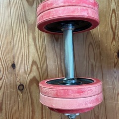 ダンベル14.5kg
