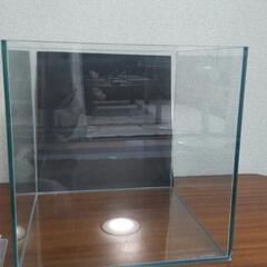 コトブキ 30センチキューブ水槽