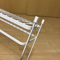 シャンプーラックの画像