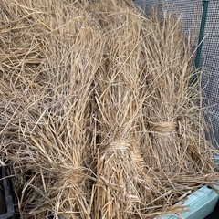 大量の藁
