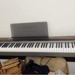 casio の画像