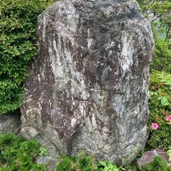 大きな庭石　ガーデニング　日本庭園