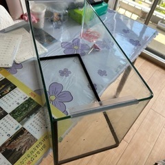 水槽の画像