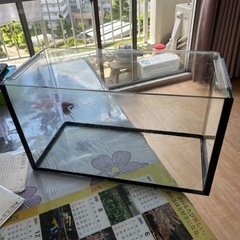 水槽の画像