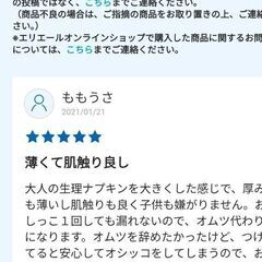 オムツばいばい👋トレーニングパッド【未開封】の画像