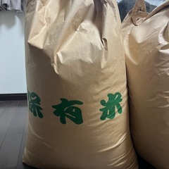 令和6年産　30キロ　米　玄米