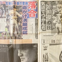 報知特別版　平成６年　1994年10月9日　スポーツ報知　長嶋茂雄　優勝　巨人　絶頂胴上げ　5度舞い　落合博満　松井秀喜　桑田真澄の画像