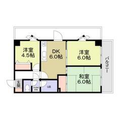 福生駅・破格の初期費用⭐️敷・礼・仲0円⭐️室内洗濯機置場/独立洗面台/宅配ボックス/バス・トイレ別/冷暖房/エレベータ/駐輪場/バルコニー - 福生市