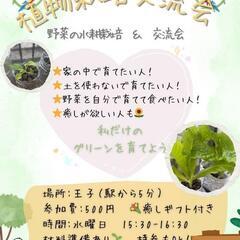 🌱植物は好きですか？植物栽培交流会🥬