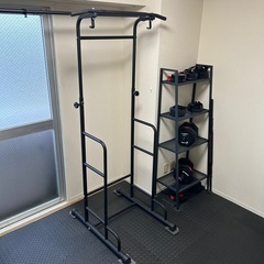 チンニングスタンド 懸垂 ぶら下がり健康器　STEADY製 ST...