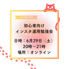 【オンライン】初心者さん向けインスタ運用勉強会