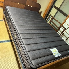 FranceBeD/フランスベッド セミダブル　電動リクライニン...