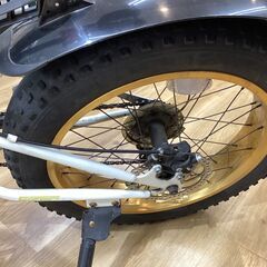 ファットバイク　Eizer　20インチ　F120　JX202110081　キズ・サビ・ハガレの画像