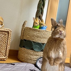 マネージャー募集