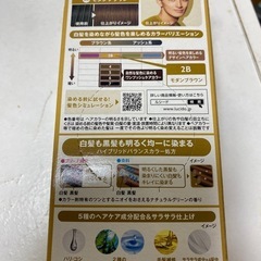 デザインヘアカラー(モダンブラウン)の画像