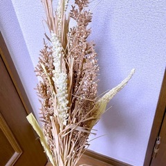 ドライフラワー①の画像