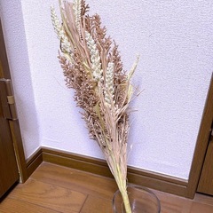 ドライフラワー①