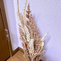 ドライフラワー①の画像