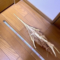 ドライフラワー①の画像