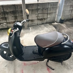 原付バイク  ホンダ  スクーピーの画像