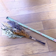 ドライフラワー②の画像