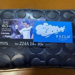 エスコンフィールド　セパ交流戦チケットの画像