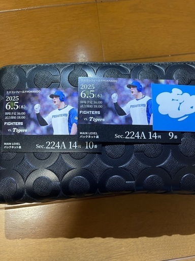 エスコンフィールド　セパ交流戦チケット