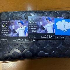 エスコンフィールド　セパ交流戦チケット