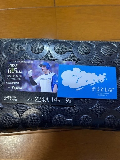 エスコンフィールド　セパ交流戦チケット