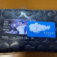 エスコンフィールド　セパ交流戦チケットの画像