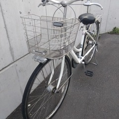 ブリヂストン　アルベルト