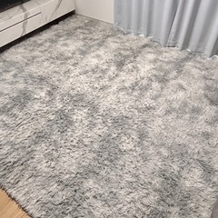 カーペット　
