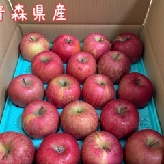 青森県産　規格外りんご　林檎