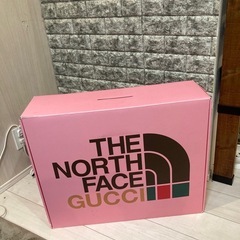 THE NORTH FACE GUCCI  空箱　