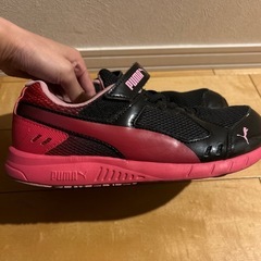 PUMAスニーカー24センチの画像