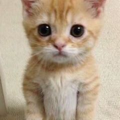 考え方 やり方 変えると・・