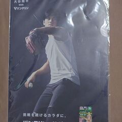 5種類の大谷翔平クリアファイルのバラ売り　1枚330円ですが、5枚で1100円で販売も可能です。　3枚以上から取引します。の画像