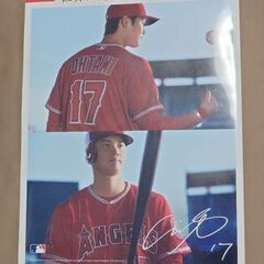 5種類の大谷翔平クリアファイルのバラ売り　1枚330円ですが、5...