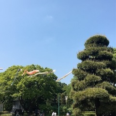 気軽にランチ出来るママ友欲しいです。