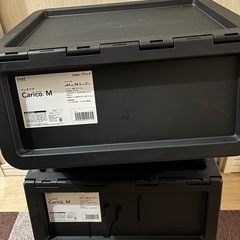 カインズインテリアキャリコM