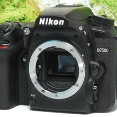 ✨グランプリ受賞機種✨Nikon D7500✨4K動画対応✨Bluetooth✨の画像