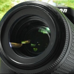 ✨高性能でお手頃な入門一眼レフ✨反転液晶で視界良好✨Nikon D5200✨の画像