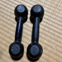 鉄アレイ1k ２個重石にもオモリにもの画像